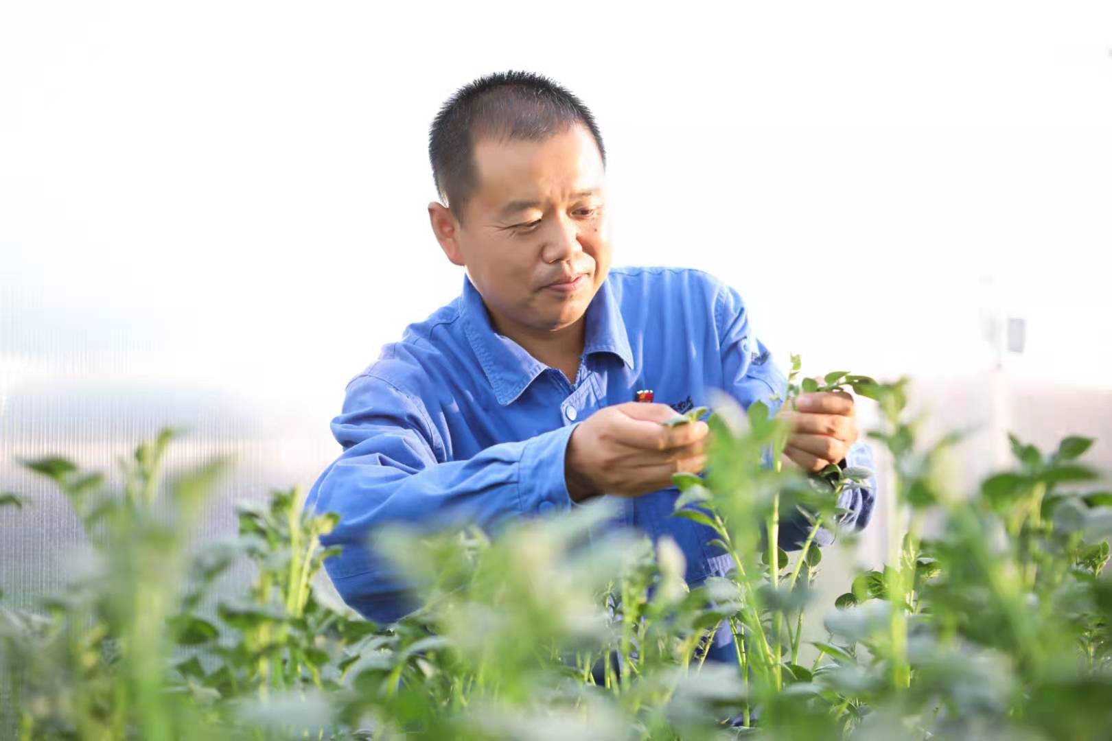 万利·(中国区)有限公司官网